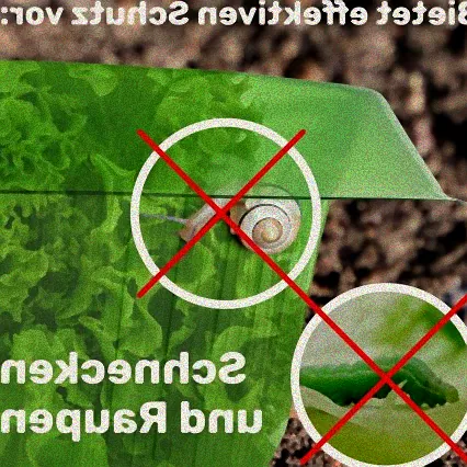 biologischer schneckenschutz