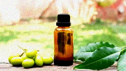 hilft neemöl gegen dickmaulrüssler