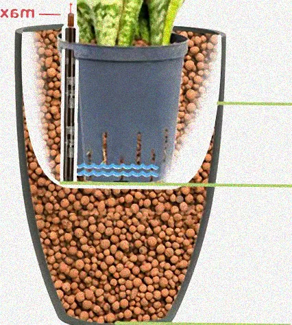 hydrokultur pflanzen kölle
