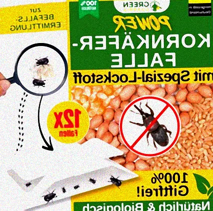 kornkäfer bekämpfung