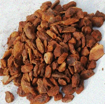 pinienrinde für orchideen