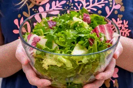 wie kann man salat frisch halten