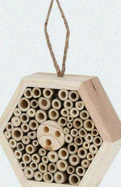 wildbienenhotel wo aufhängen