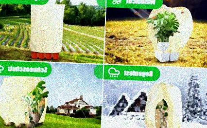 winterschutz für obstbäume